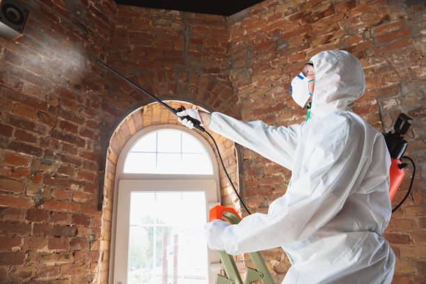 Best Commercial Mold Inspection  in Pierre Part, LA