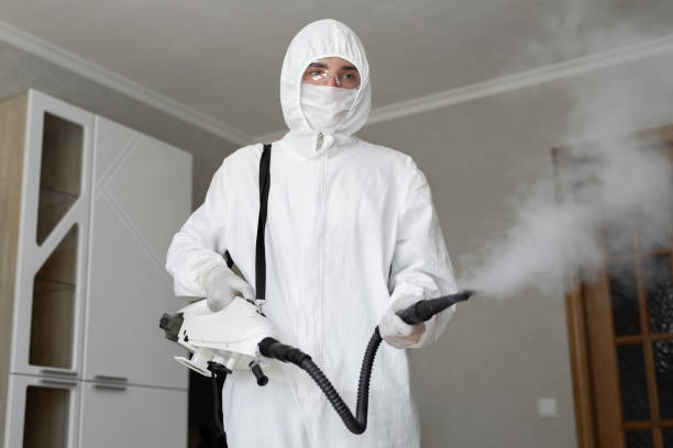 Best Black Mold Removal  in Pierre Part, LA