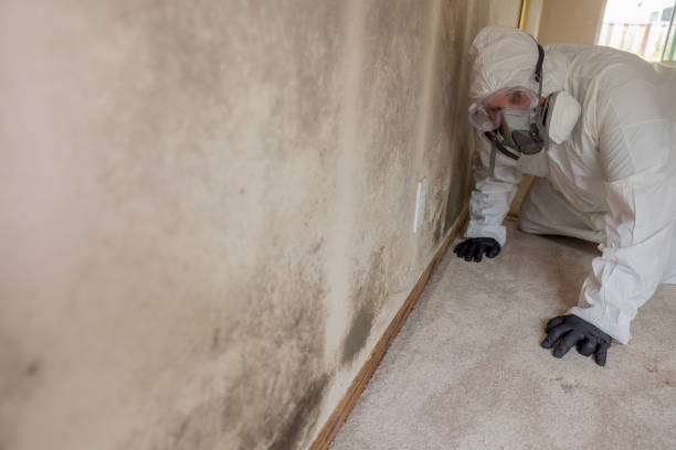 Best Residential Mold Inspection & Testing  in Pierre Part, LA