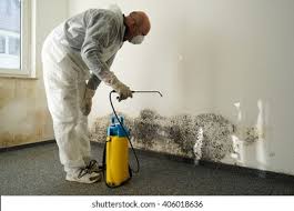 Best Asbestos and Lead Testing During Mold Inspection  in Pierre Part, LA